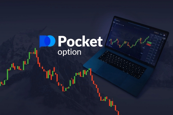 Understanding the Cabinet Pocket Option A Comprehensive Guide