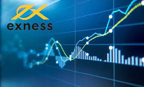Understanding Forex Trading with Exness Pip Value Calculator 5